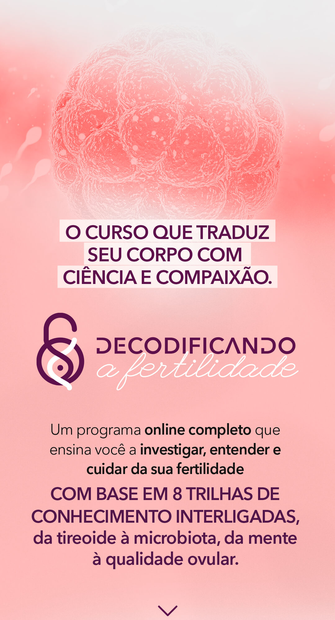 Dra Carolina Meireles