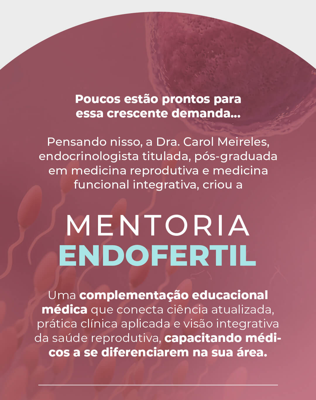 Dra Carolina Meireles