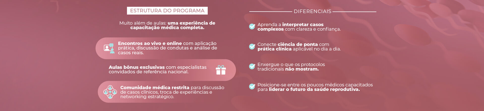 Dra Carolina Meireles